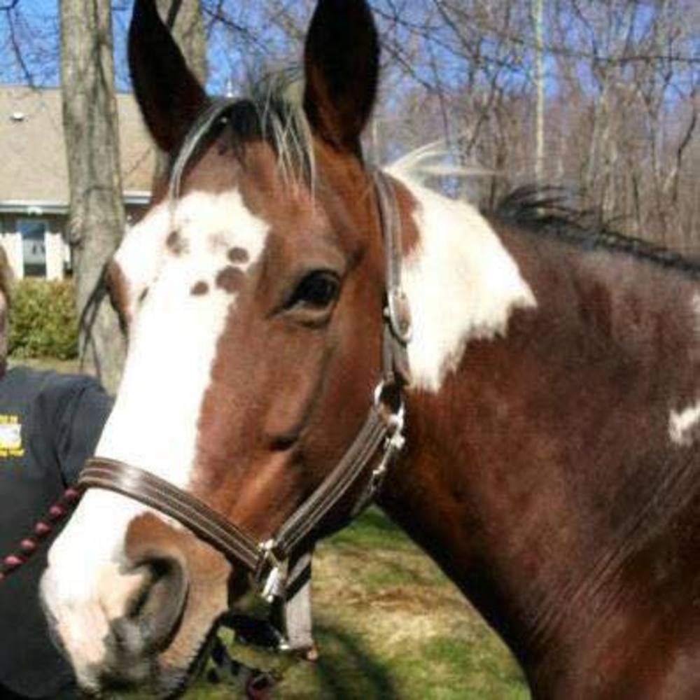 Meet your Posher, Denise